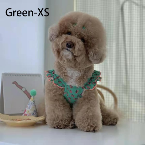 Kæledyrstøj Kæledyrsartikler GREEN XS green XS
