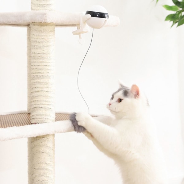 Cat Toy Ball Teaser C C C