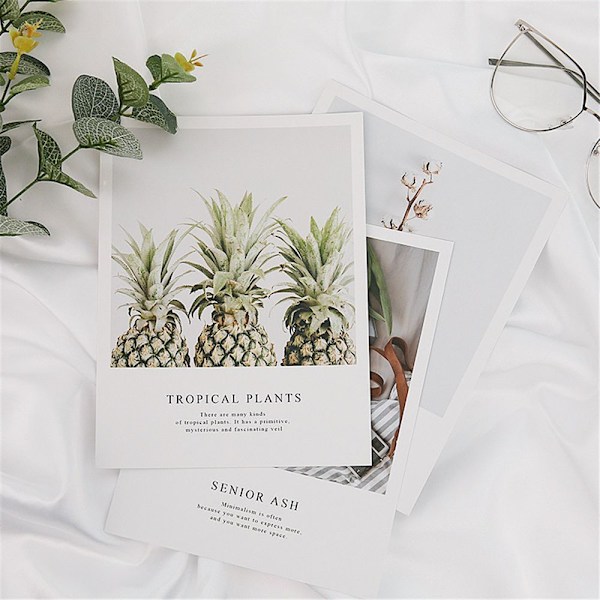 Foto rekvisitter Planter 05 05 05