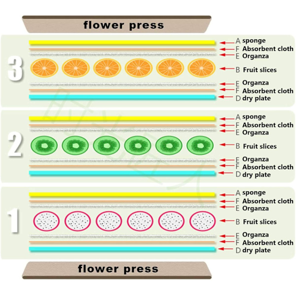 Blomsterfrugtpressesæt 6-lags FRUGT FRUIT Fruit