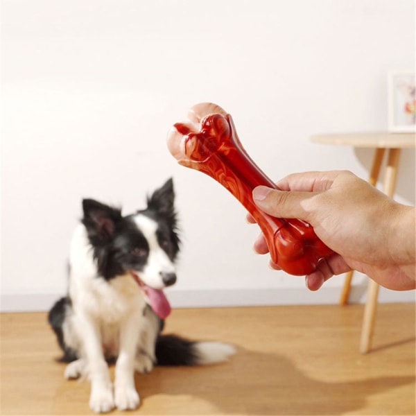 Koiran lelut Molar Stick L L