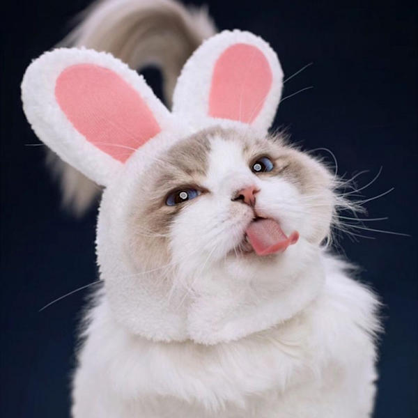 Pet Bunny Huvudbonader Påskhare Kanin Hatt GUL yellow