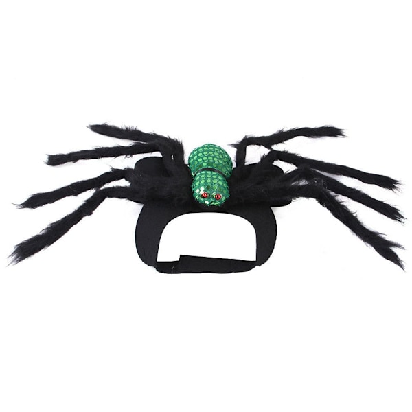 Pet Spider Kläder Halloween Black Spider M M