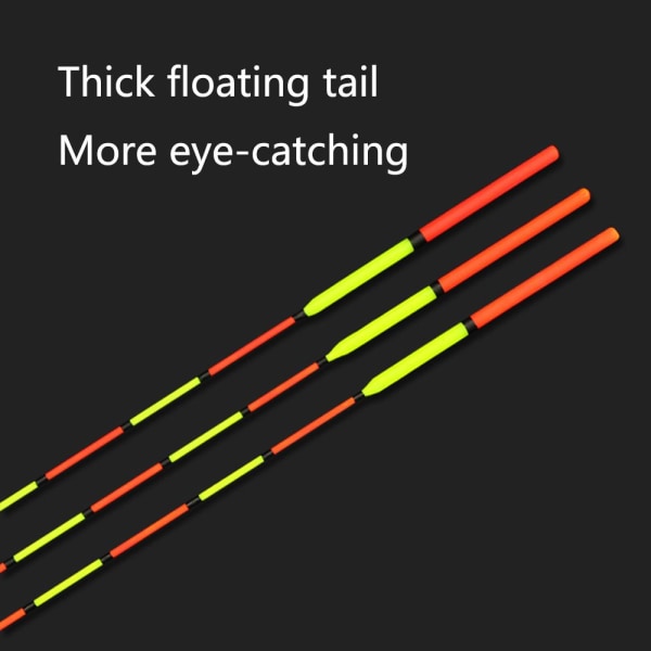 Fishing Float Tail Vertical Float 02 02 02