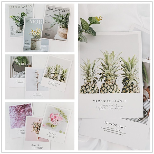 Foto rekvisitter Planter 05 05 05