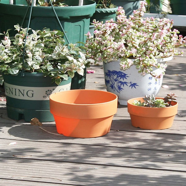 Blomkrukor Suckulentlåda S S