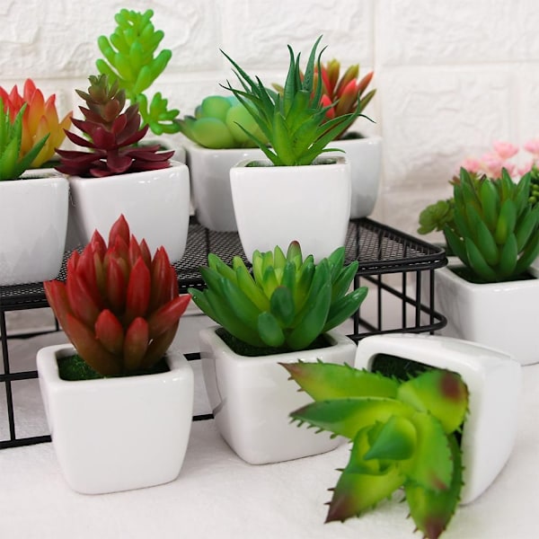 Kunstige miniplanter Sukkulenter Falske blomster 12