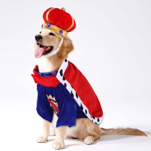 Lemmikkien Halloween-asu King Cloak M M