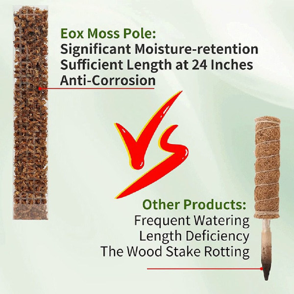 4st Plant Support Plant Stakes Moss Pole