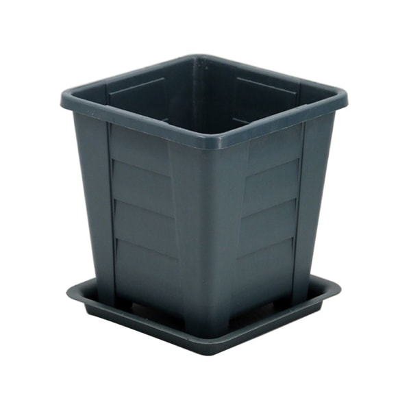 Kukkaruukut Succulent Box XL XL