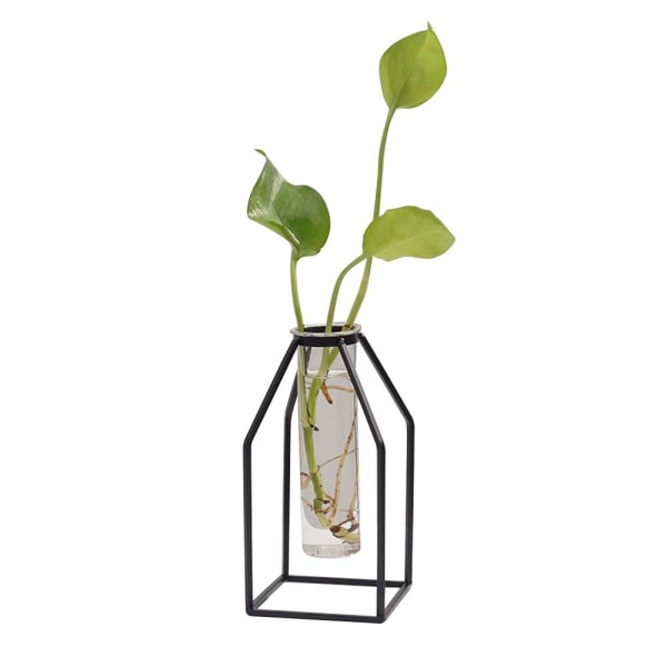 Hydroponic Plant Vas Glas Vas 2 2 2