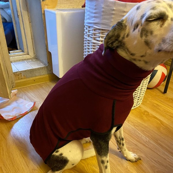 Hund Tröja med hög krage Pet Hoodie Kappa MÖRKGRÅ XXXXXL dark grey XXXXXL