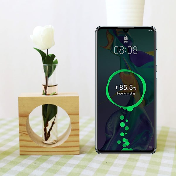 Hydroponic Plants Vas Glas Vas Träram