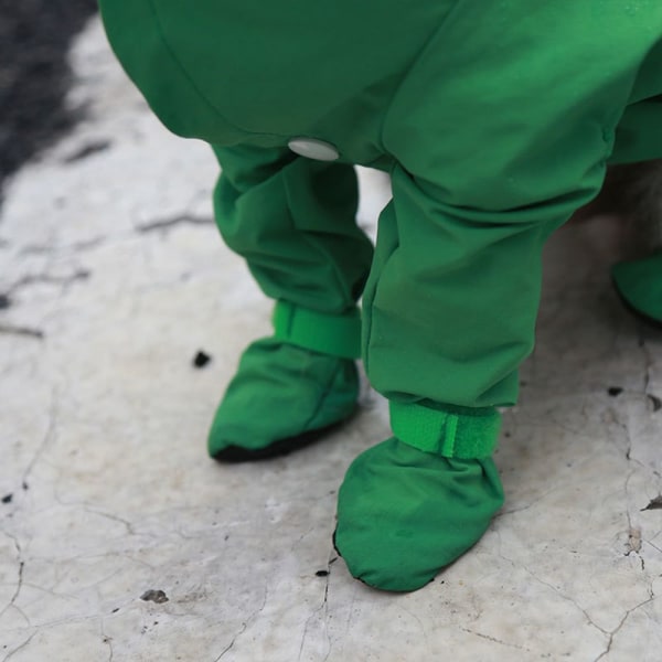 Koira Sadetakki koiran vaatteet GREEN S Green S