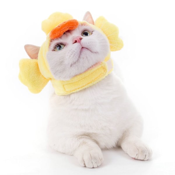 Cat Hodeplagg Cat Hat RABBIT-S Rabbit-S