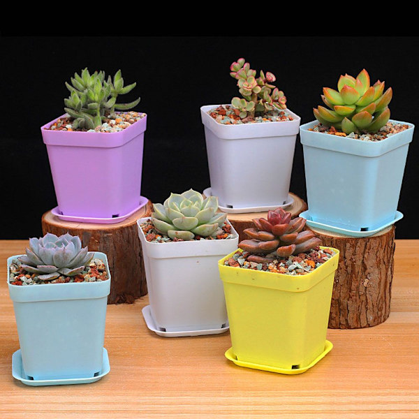 Urtepotter Planteindretning Bakke Planteskolevase PINK pink