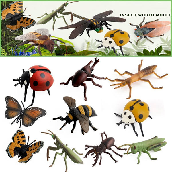 Insektsdyrmodellsimulering Ladybug 8 8 8