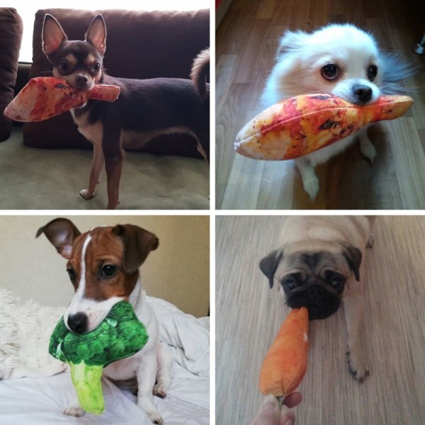Koiran lelut Chew Toys Squeaky 1 1