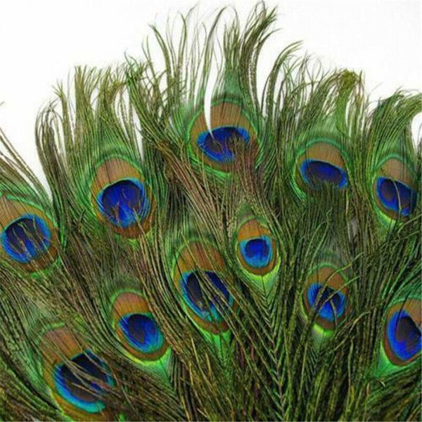 30 kpl Peacock Feather Natural Feather Tail