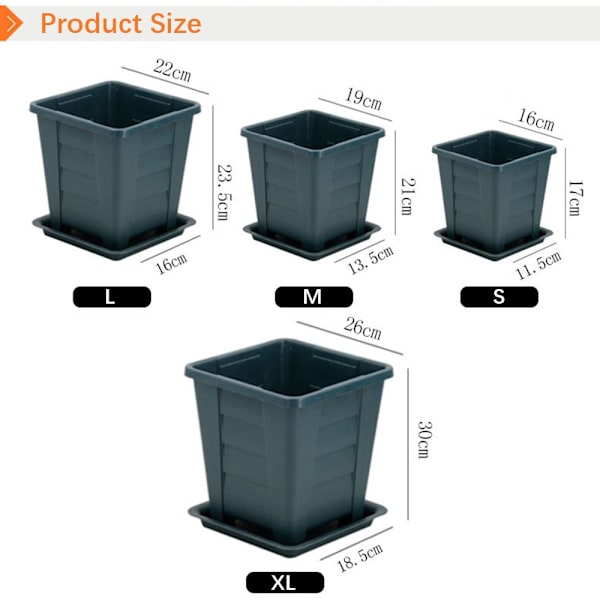 Kukkaruukut Succulent Box M M