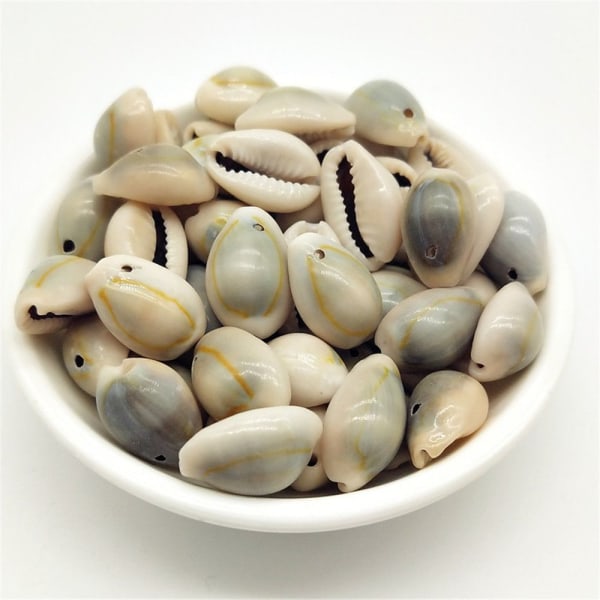 40/50 stk Seashell cowrie shells bulk løse perler GRÅ-50 STK Grey-50pcs