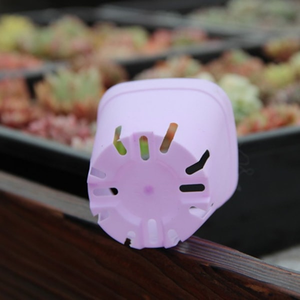 Urtepotter Planteindretning Bakke Planteskolevase PINK pink