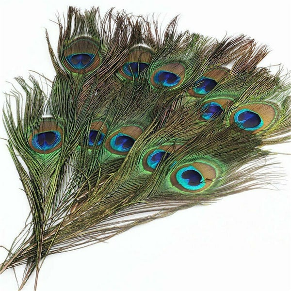 30 kpl Peacock Feather Natural Feather Tail