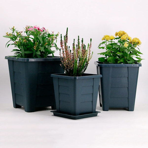 Kukkaruukut Succulent Box XL XL