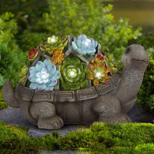Havssköldpadda Suckulenter Figurer Uggla Skulptur 2 2 2