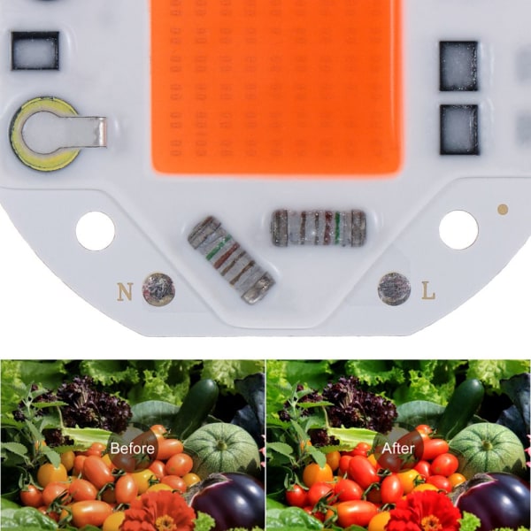 LED COB Chip Grow Light 50W 50W