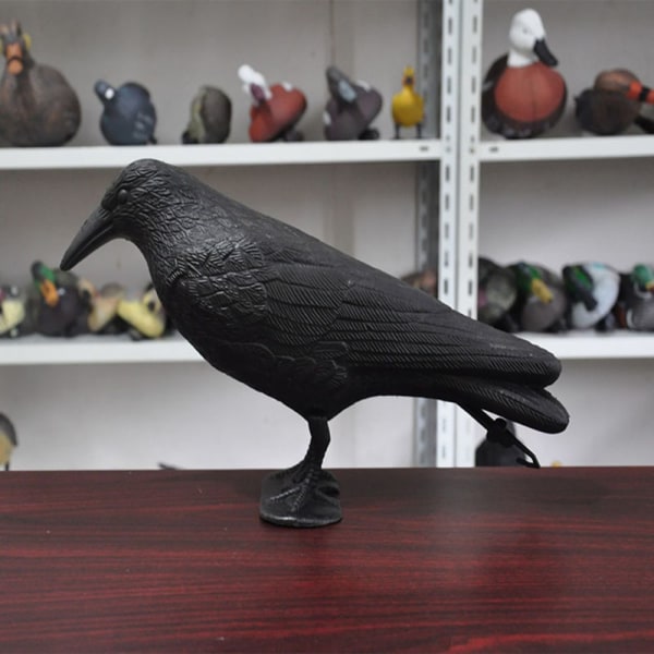Simulaatio Crow Black Raven Raven Prop