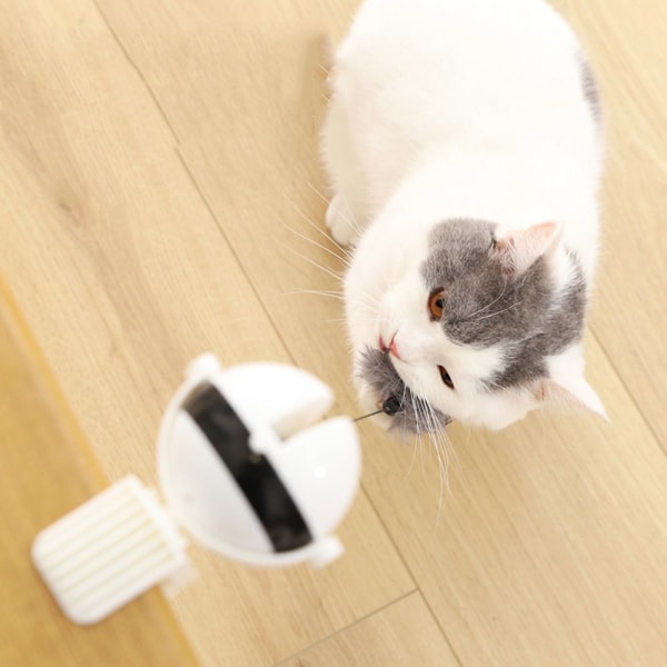 Cat Toy Ball Teaser C C C