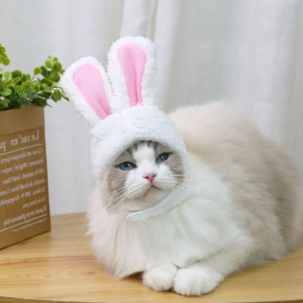 Pet Bunny Huvudbonader Påskhare Kanin Hatt ROSA pink