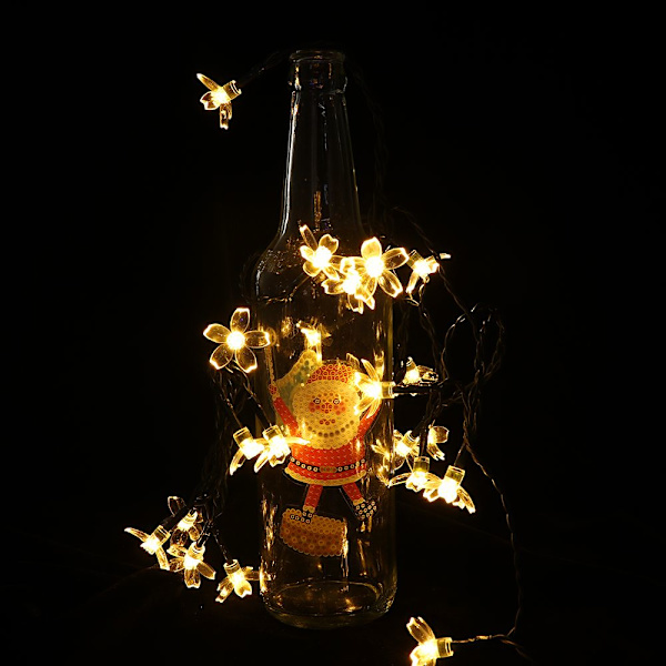 Lyssnore Solar String Lights MULTICOLOR 20 20 multicolor 20-20