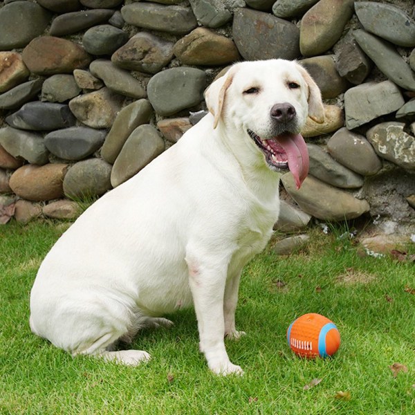 Hundtuggleksaker Squeak Toys C C C