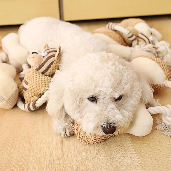 Hunde lydlegetøj Hvalpebomuldtygge 1 1 1
