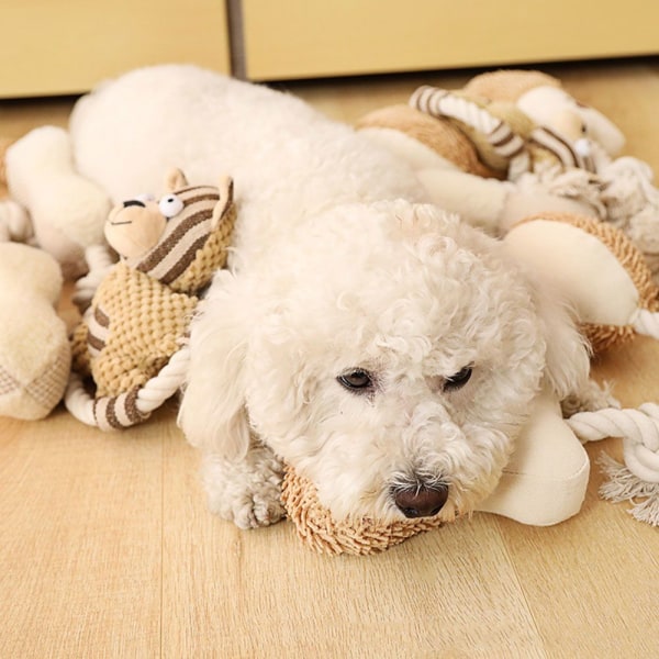 Koirien äänilelut Puppy Cotton Chew 5 5 5