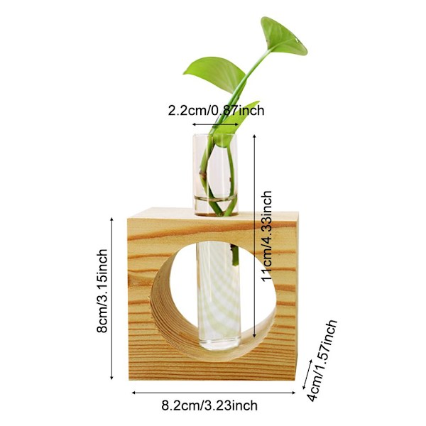 Hydroponic Plants Vas Glas Vas Träram