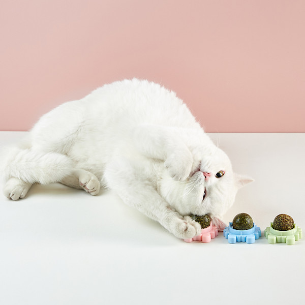 Catnip Balls Cat Mint PINK PINK pink
