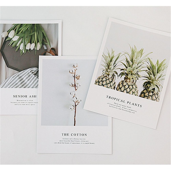Foto rekvisitter Planter 05 05 05