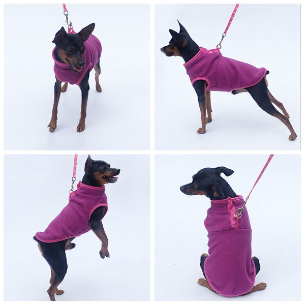 Dyretøj Pet Sweater FUCHSIA S fuchsia S