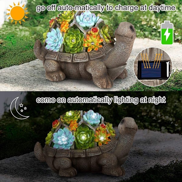 Havssköldpadda Suckulenter Figurer Uggla Skulptur 2 2 2