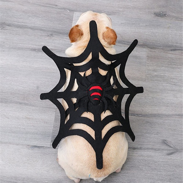 Lemmikkien halloween-vaatteet muuttuneet M M