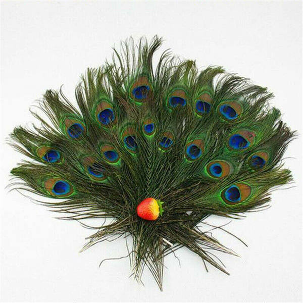 30 kpl Peacock Feather Natural Feather Tail