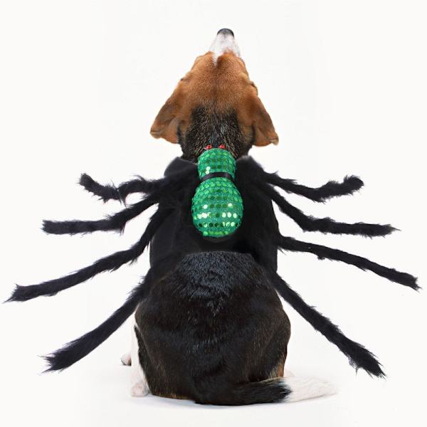 Pet Spider Kläder Halloween Black Spider M M