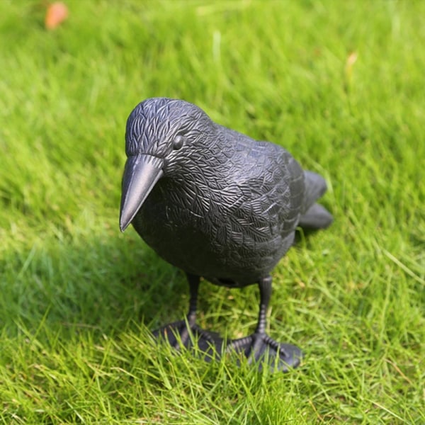 Simulaatio Crow Black Raven Raven Prop