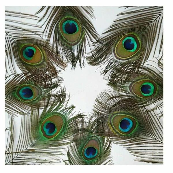 30 kpl Peacock Feather Natural Feather Tail