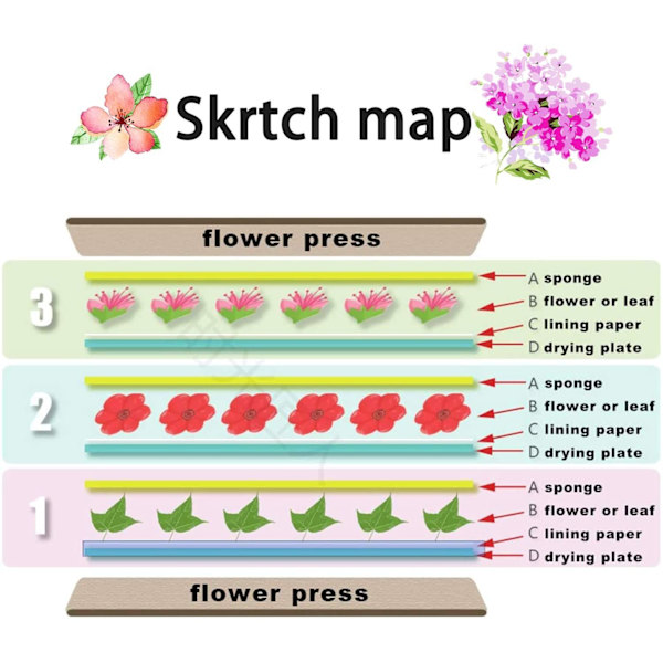 Blomsterfrugtpressesæt 6-lags FRUGT FRUIT Fruit