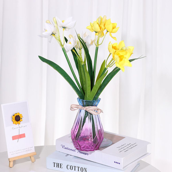 Påskelilje Blomst Narcissus HVIT white