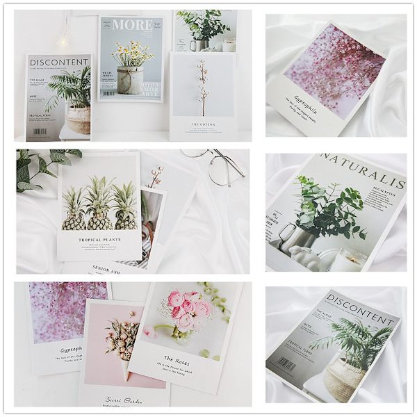 Foto rekvisitter Planter 05 05 05